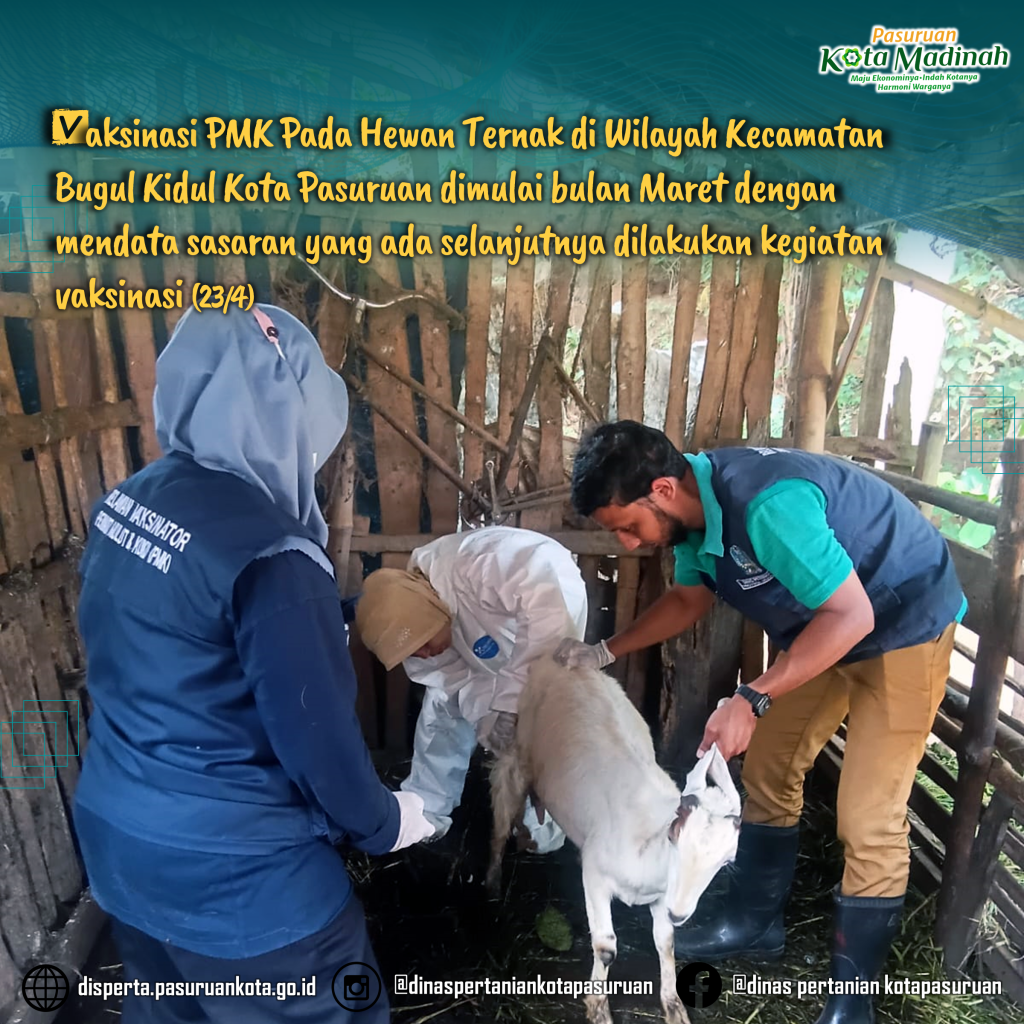 Vaksinasi PMK Pada Hewan Ternak di Wilayah Kecamatan Bugul Kidul Kota Pasuruan